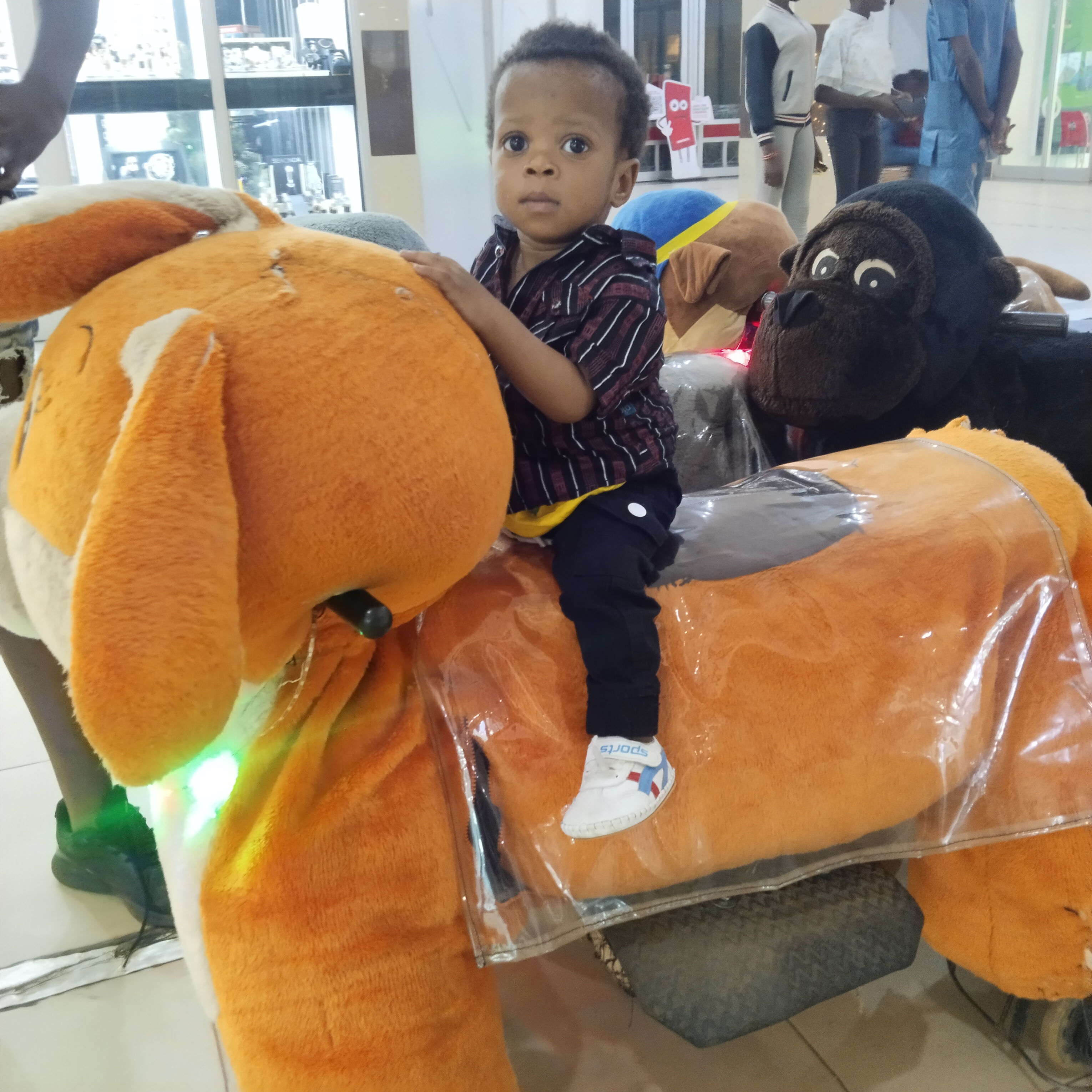 DANIEL ZINACHIMDI AGWONYE